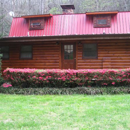 Buffalo Creek Bed And Breakfast Robbinsville Eksteriør billede