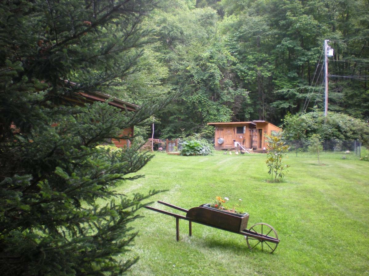 Buffalo Creek Bed And Breakfast Robbinsville Eksteriør billede